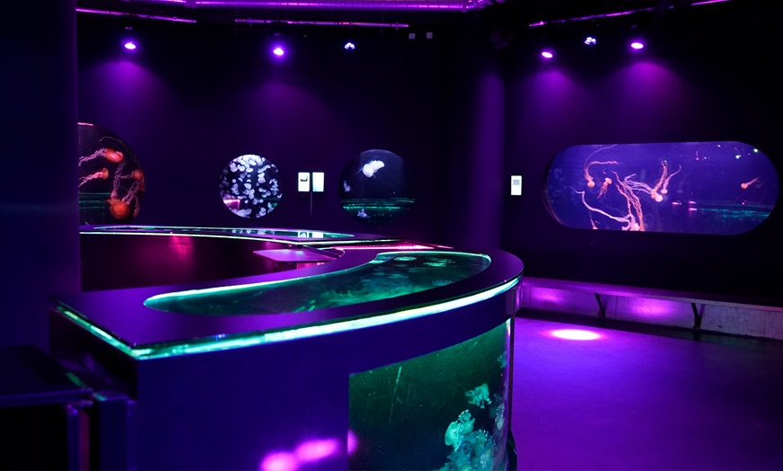 Image 9: Aquarium de Paris : la richesse du monde sous-marin tout l'année