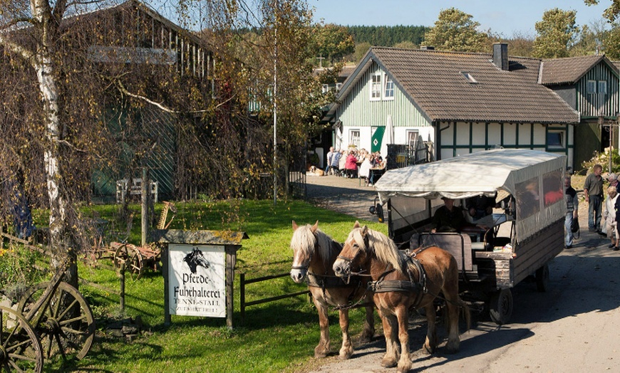 Image 3: 60 Min. Pferdeschlitten- oder Kutschfahrt für bis zu 5 Personen