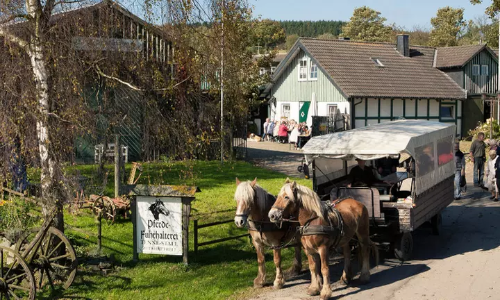 60 Min. Pferdeschlitten- oder Kutschfahrt für bis zu 5 Personen