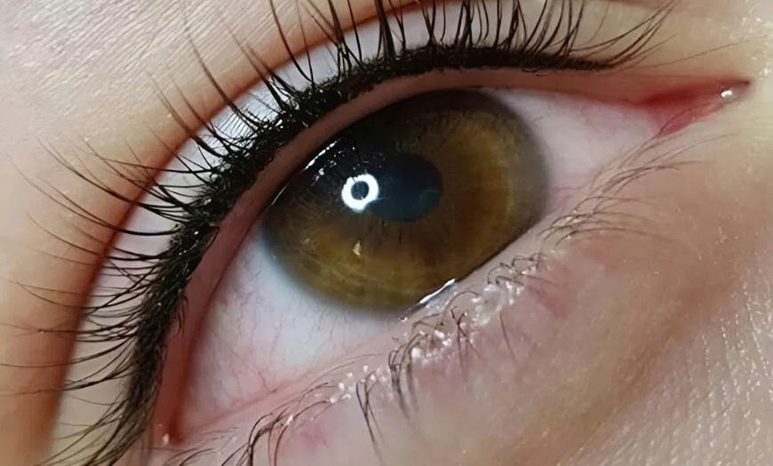 Image 20: Mirada a punto: lifting y tinte, extensiones, laminado de cejas y más