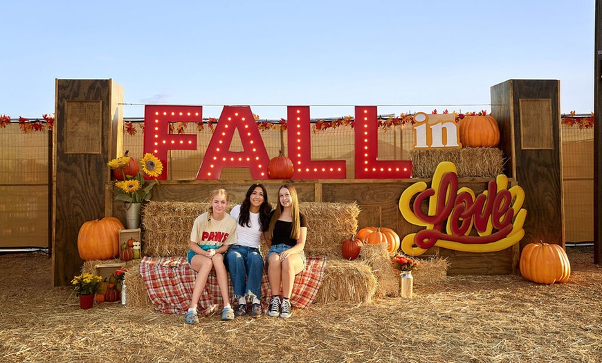 Image 1: The Desert Fall Festival (September 26 - November 1)