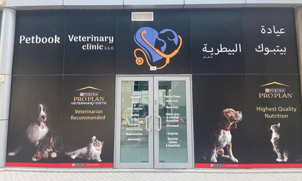 Cat Or Small Dog Upto 10kg Full Grooming with Haircut