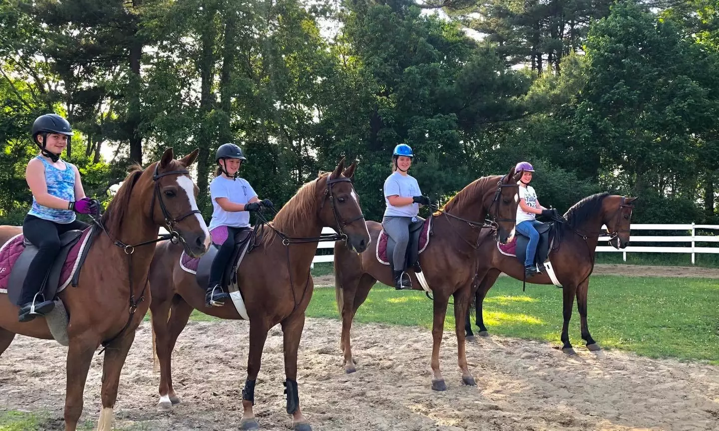 One or Five 30-Minute Private Horseback-Riding Lessons at Rocking Horse Farm (Up to 31% Off) - Primary Image