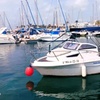 Image 3: 1 hora de alquiler de barco para hasta 5 personas en Puerto Banús