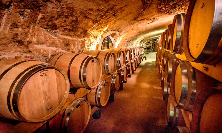 Image 3: Visite du domaine de Rombeau et découverte de vin 