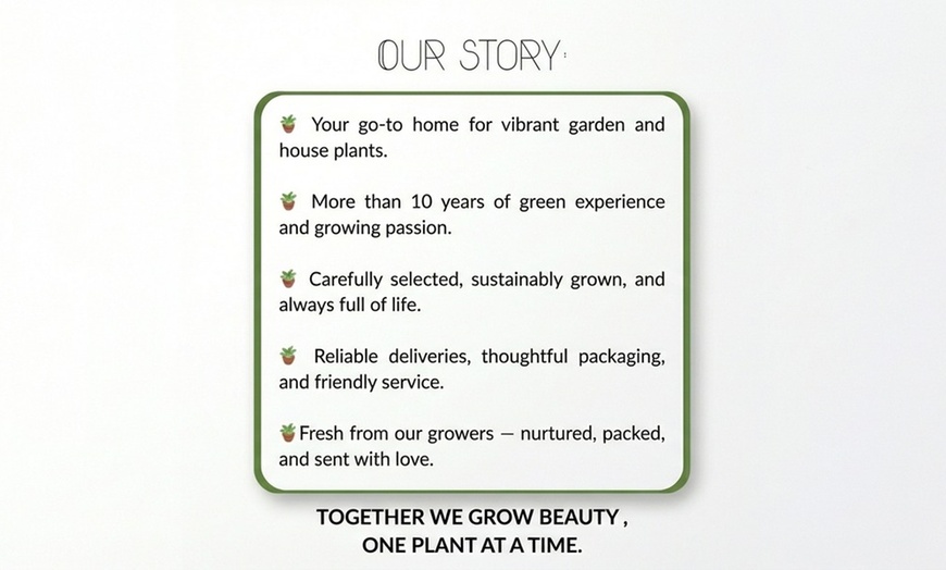 Image 8: Pack di fiori per aiuola di NatureNest