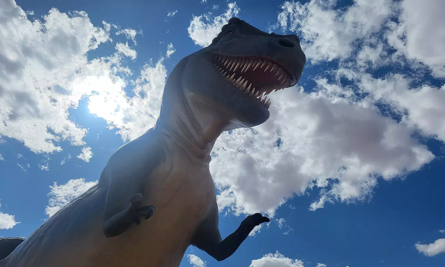 Dino Drive-Thru for 1 Car, Paint-A-Bug or Shoot Out the Star 300 Shots