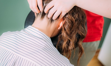 20 Minutes or Less Chair Massage Session - He/R Intuitive Wellness