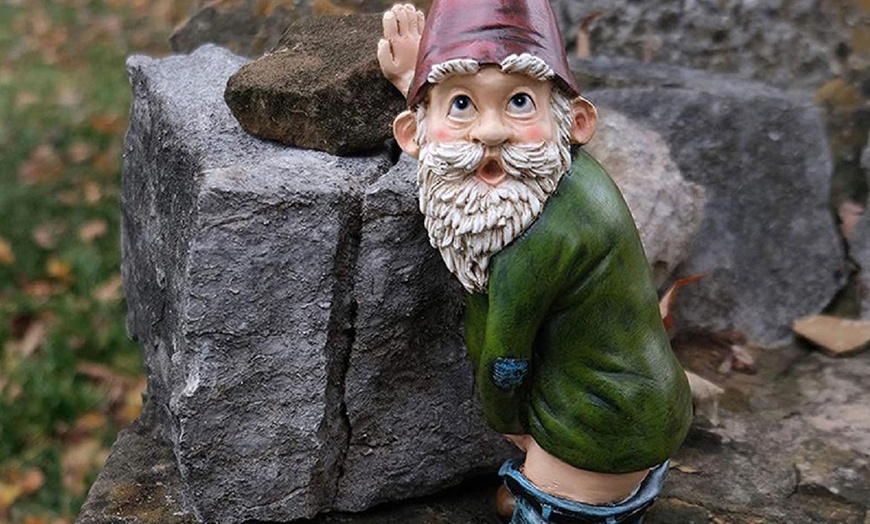 Image 9: Funny Gnome