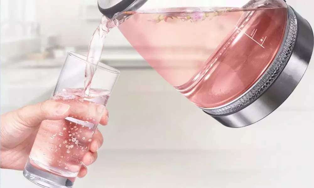 Bouilloire électrique 1,7L en verre Royalty Line