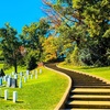 Image 1: Guided Tour of Arlington National Cemetery - Up to 26% Off