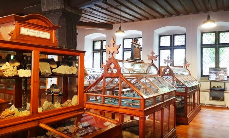Image 10: Hagnau am Bodensee : chambre double avec PDJ, dîner et thermes