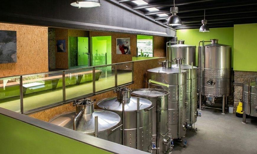 Image 5: Cata de 3 vinos con maridaje de productos km 0 y visita a viñedo