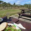 Image 4: Mid Summer Vineyard Tour, Wine Tasting and Ploughman's Meal