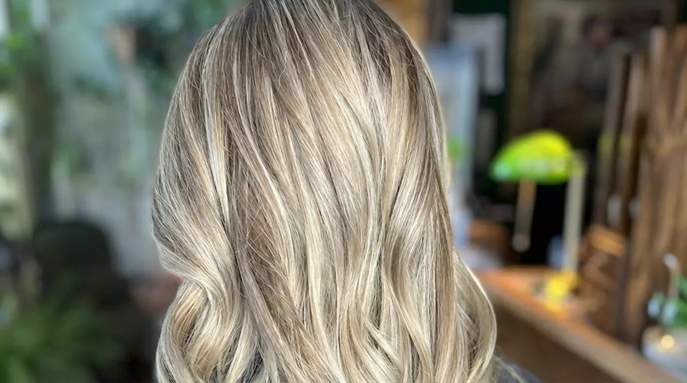 Transform Your Look with Expert Haircut + Shampoo & Style w/w/o Colors