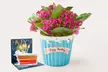 Same-Day Beautiful Plants from ProFlowers for Every Milestone Celebration (Up to 50% Off) - Second Medium