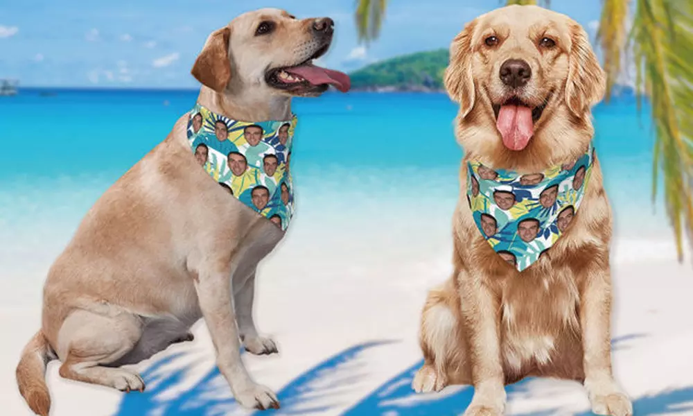 Custom Pet Fashion – Pawsome Style & Comfort Tailored Just for Them