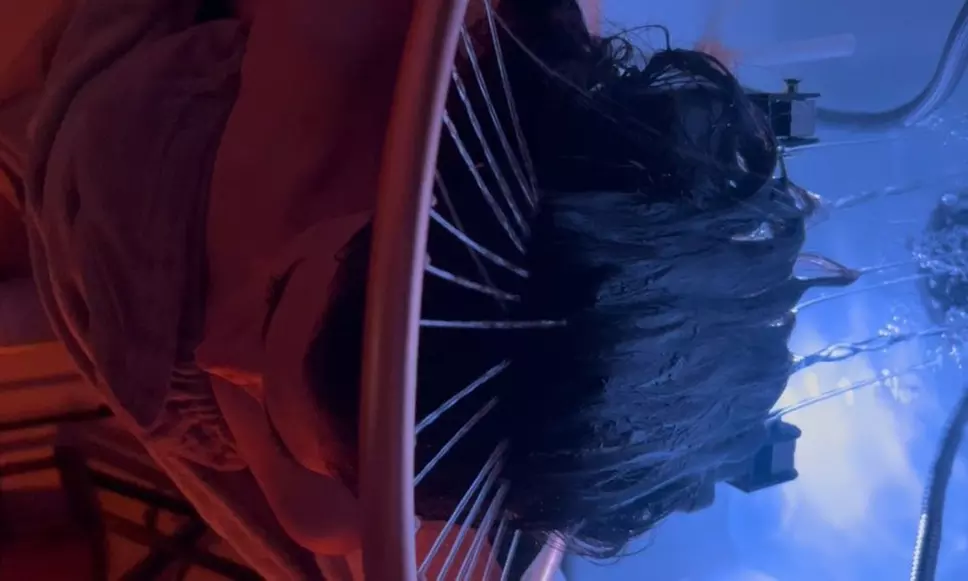 Rejuvenating 45, 60, or 90 Minute Japanese Head Spa Treatments