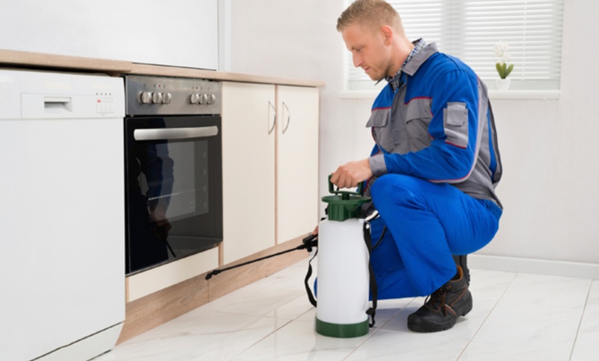 Image 2: Pest Control, Termite Inspection & Complete Flea Treatment
