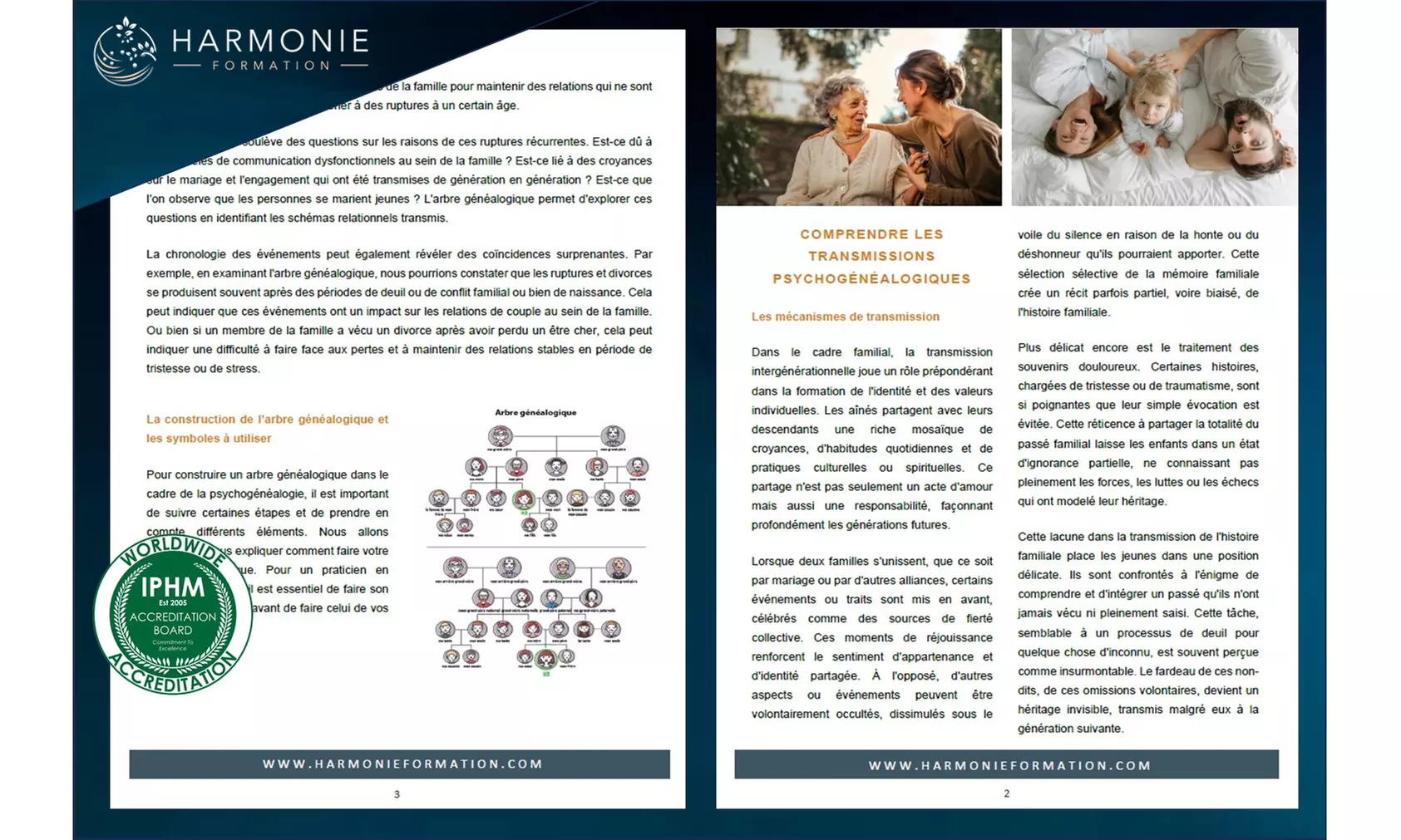 Explorez son héritage émotionnel via une formation en psychogénéalogie