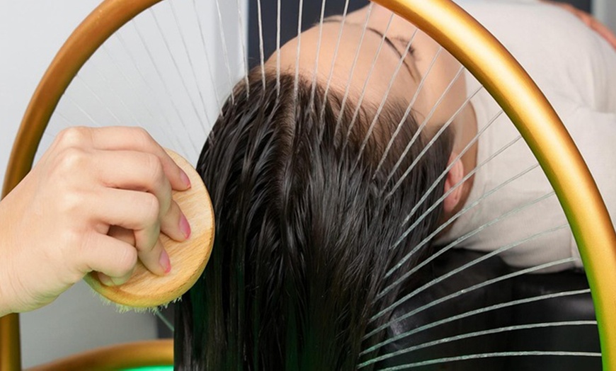 Image 1: Un oasis para tu cabello: ritual de spa capilar a elegir de 90 minutos