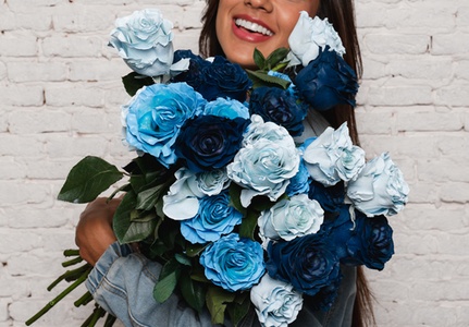 $35 Towards Blue Lagoon Roses - Rosaholics