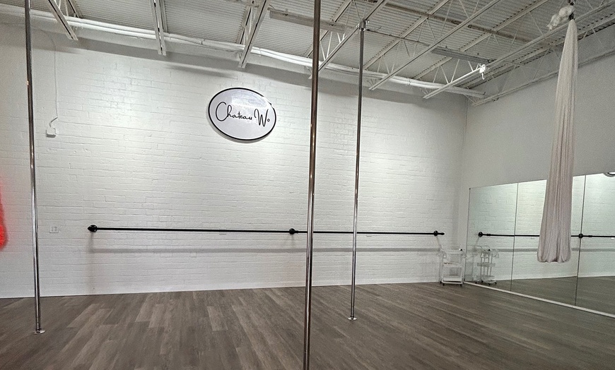 Image 2: Unforgettable Pole Dance Party Experience! 