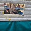 Image 2: Half-Day Paintball- Groups of 5, 10, or 15 with 100 Paintballs Each!