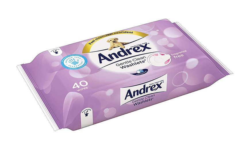 Image 15: Andrex Flushable Wipes
