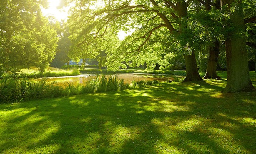 Image 7: Bei Koblenz: Superior-Doppelzimmer mit Halbpension