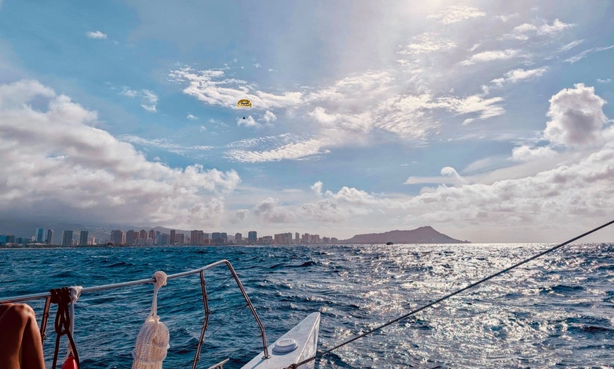 Image 3:  Whale Watching Tour & Sunset Sails – Waikiki, Hawaii