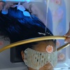 Image 1: 45/60 Min Dominican Head Spa w/ Herbal Steam, Hydration & Hair Therapy