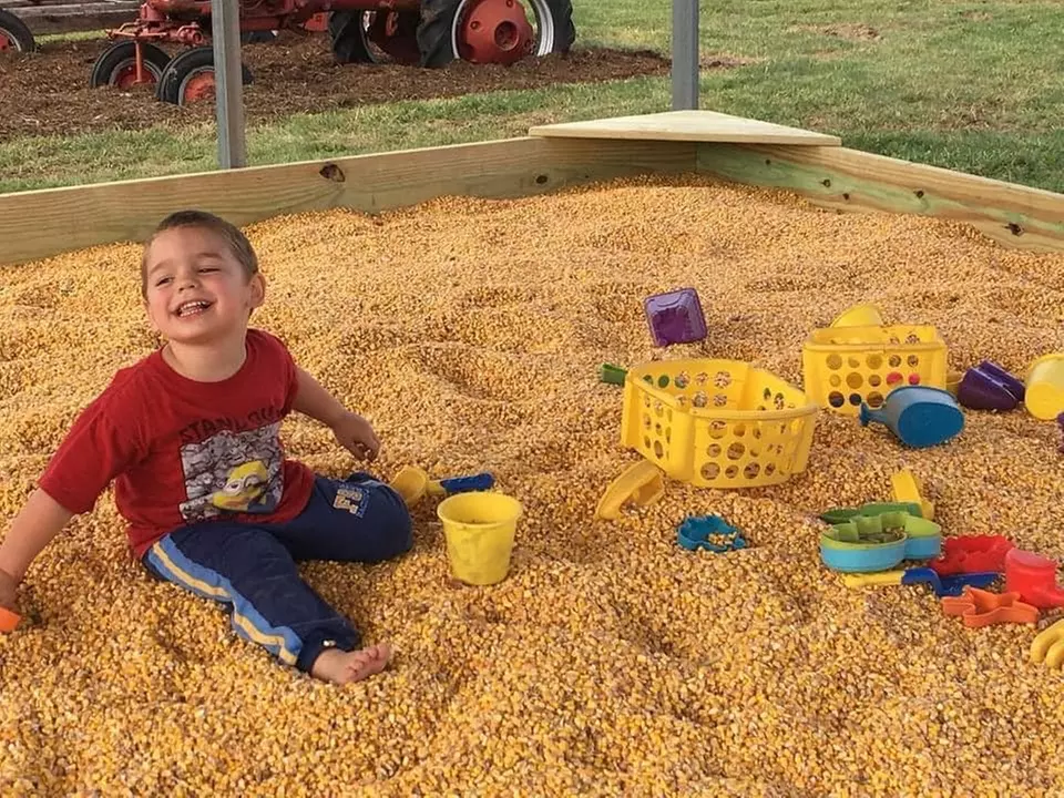 Get Lost in Corn Maze: Perfect Family Fall Adventure for 1-4 people