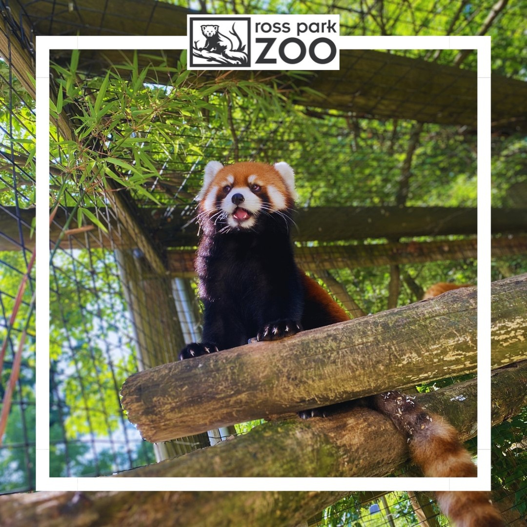 Explore Wildlife Adventures with Admission Options for All