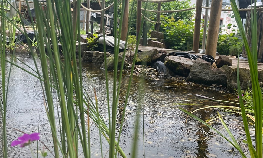 Image 6: Grillkota mieten opt. mit BBQ-Buffet für bis zu 15 Personen