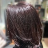 Image 4: Refresh Your Hair with Expert Cuts & Color