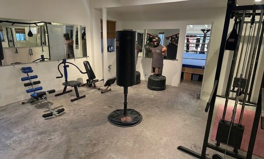 Image 5: 3 or 5 One-on-one Boxing & Kickboxing Training Sessions