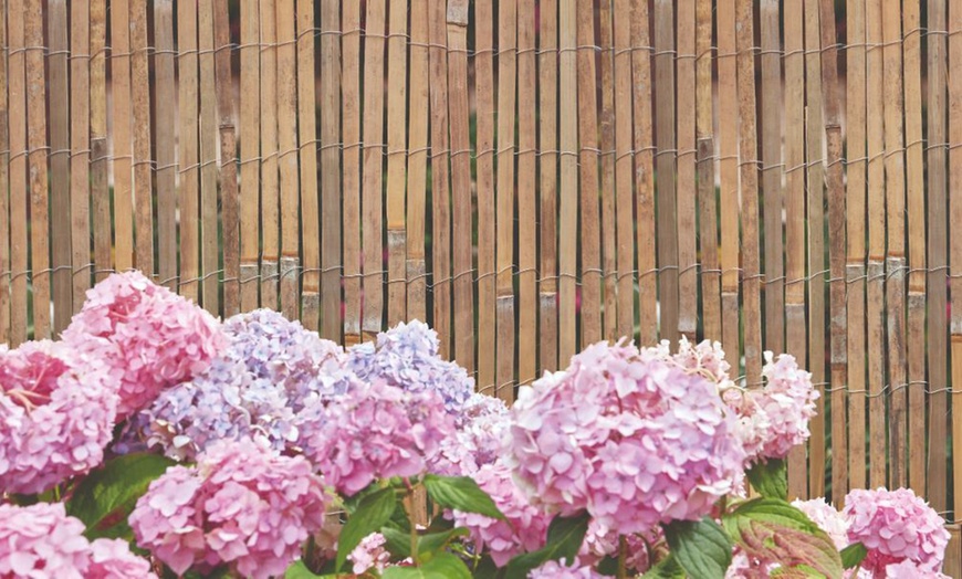 Image 5: Bamboo Slat Privacy Fence