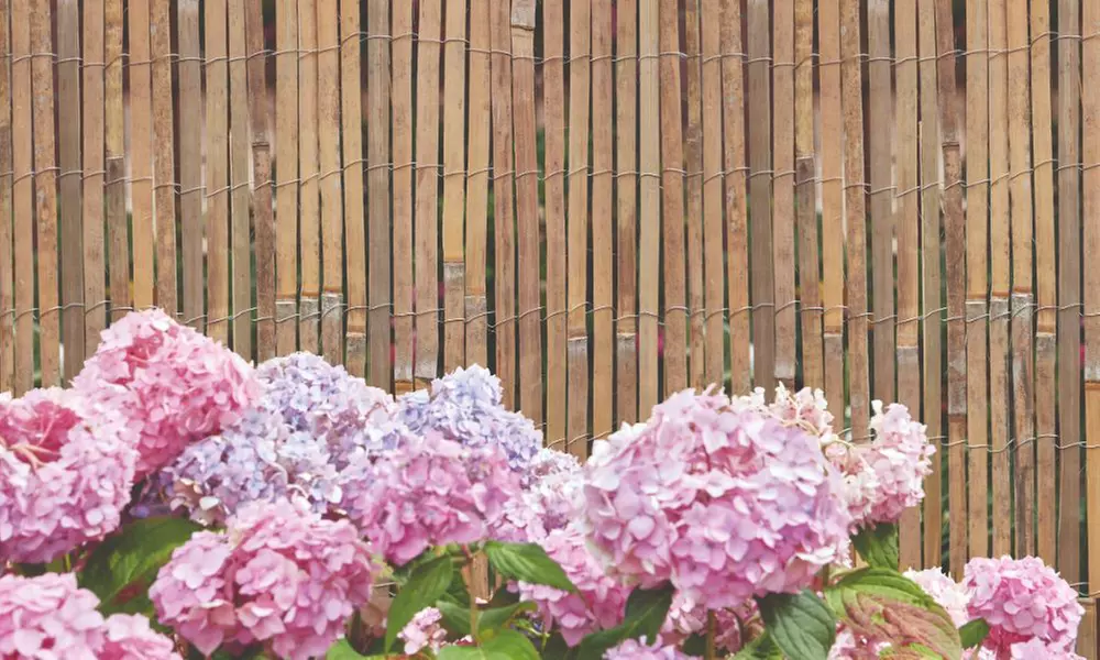 Bamboo Slat Privacy Fence