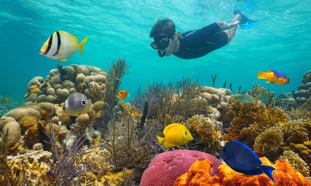 What to expect media