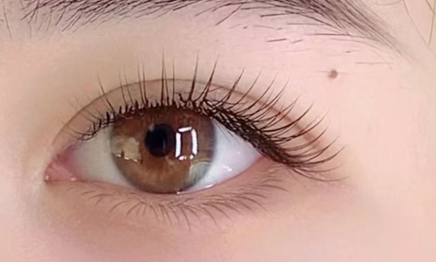 Image 3: Hybrid, Natural or Volume Set (Silk and Milk Eyelash Extensions) 