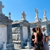 Image 11: New Orleans City, Cemetery, Garden District, Swamp & Plantation Tours