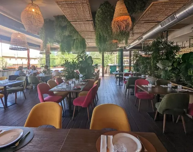 Menú mediterráneo con postre y bebida o botella de vino para 2 o 4