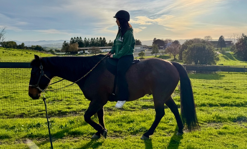 Image 10: Discover Private Horseback Riding Session or Intro to Horses & Riding