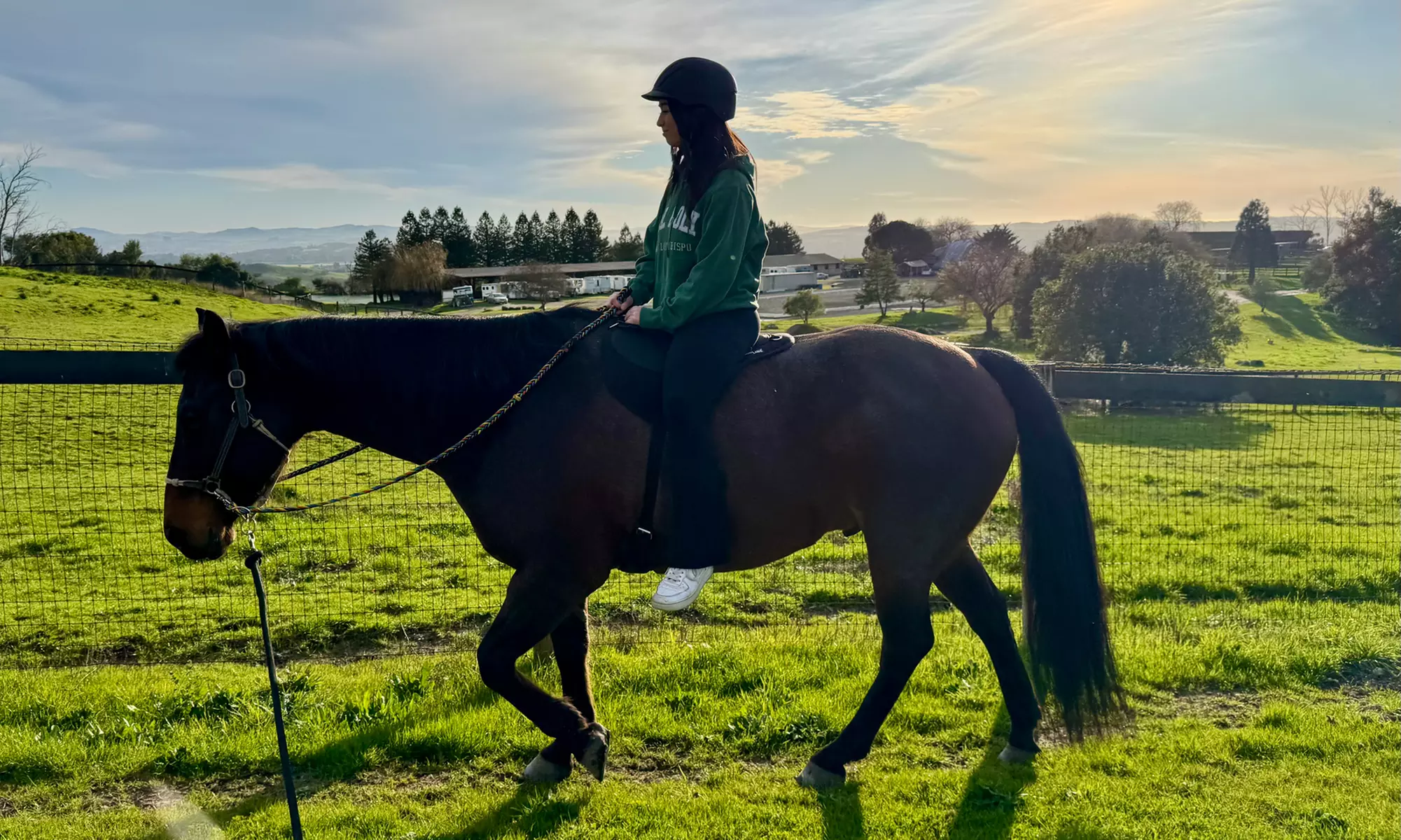 Discover Private Horseback Riding Session or Intro to Horses & Riding