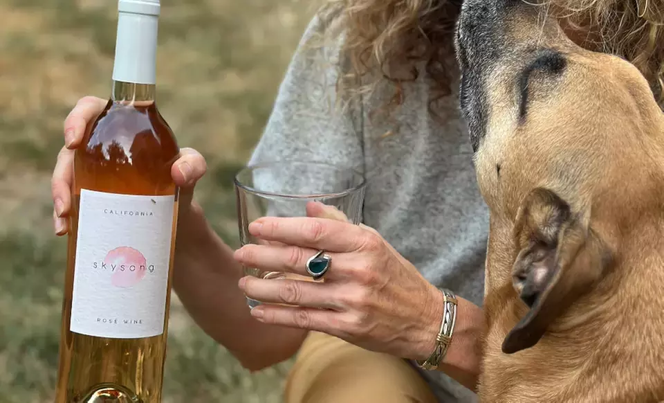 Mother's Day Rosé: Choose 6 or 10 Bottles from Swirl Wine Shop 