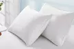 Peace Nest 2 Pack White Goose Feather and Down Pillows - Second Medium