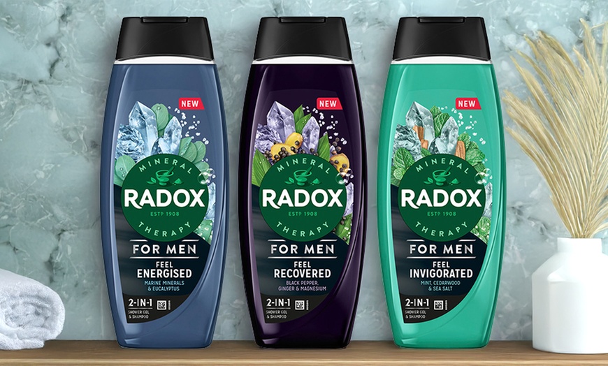 Image 1: Radox Mineral Therapy 2in1 Shower Gel and Shampoo 450ml