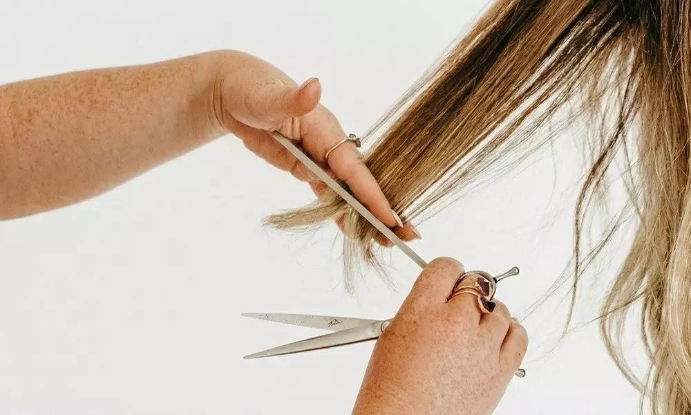 Women's Haircut with Optional Deep Conditioning Treatment and Eyebrow Wax with Delaney (Up to 30% Off) - Primary Image