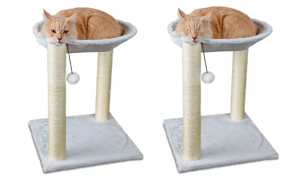20" Hammock Scratch Cat Tree - Primary Image
